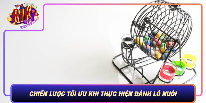 Chien Luoc Toi Uu Khi Thuc Hien Danh Lo Nuoi Tai Rikvip